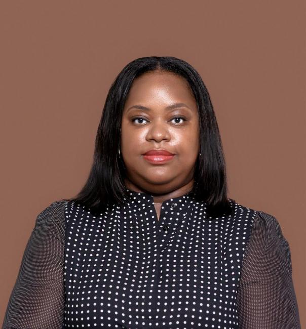 Domestic Revenue Mobilisation in Emerging Economies: Are we Overlooking a Fortune in Non-Tax Revenue?