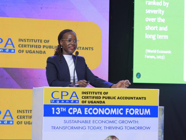 Understanding the Role of Accountants in Advancing Green Economy & Climate Finance 
